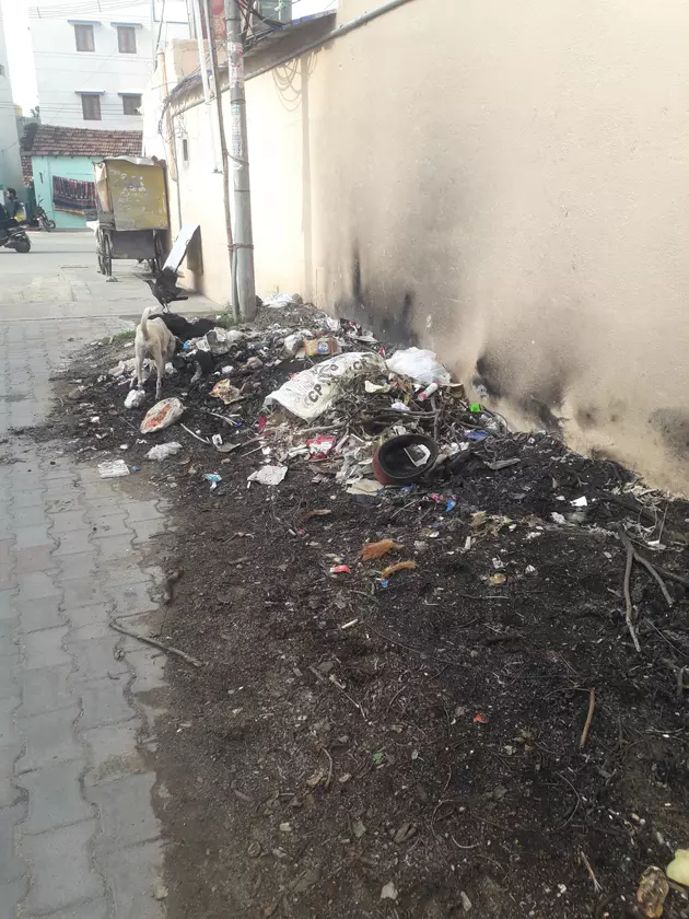 குப்பைகளை அகற்றுவார்களா?