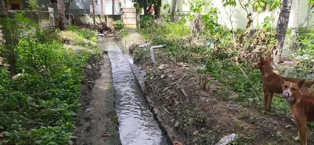 கழிவுநீரை அகற்ற வேண்டும்