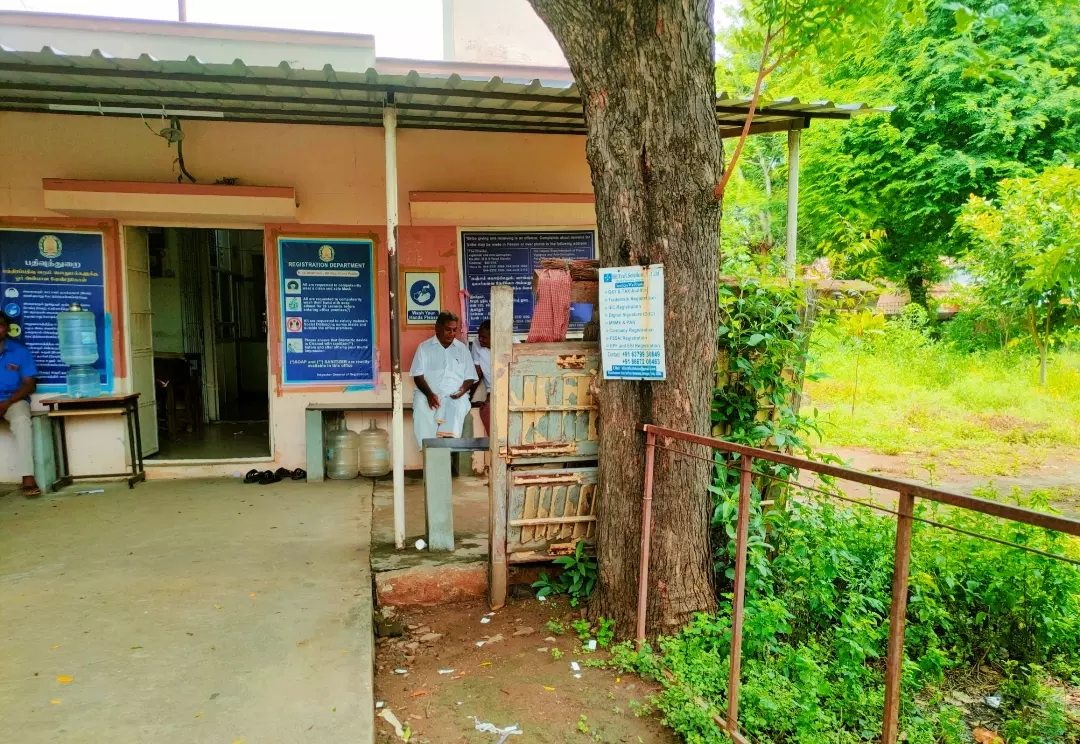 கம்பளிப்பூச்சிகளால் மக்கள் அச்சம் கம்பளிப்பூச்சிகளால் மக்கள் அச்சம்