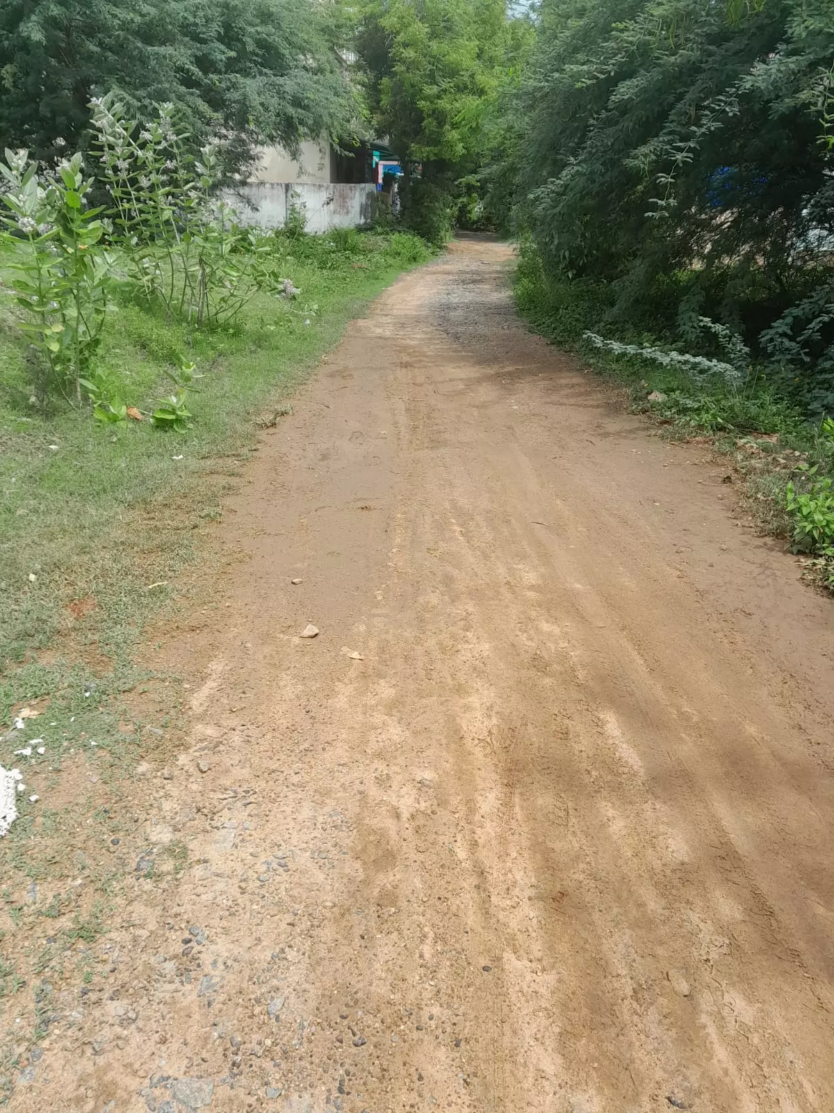 தார் சாலை அமைக்கப்படுமா? தார் சாலை அமைக்கப்படுமா?