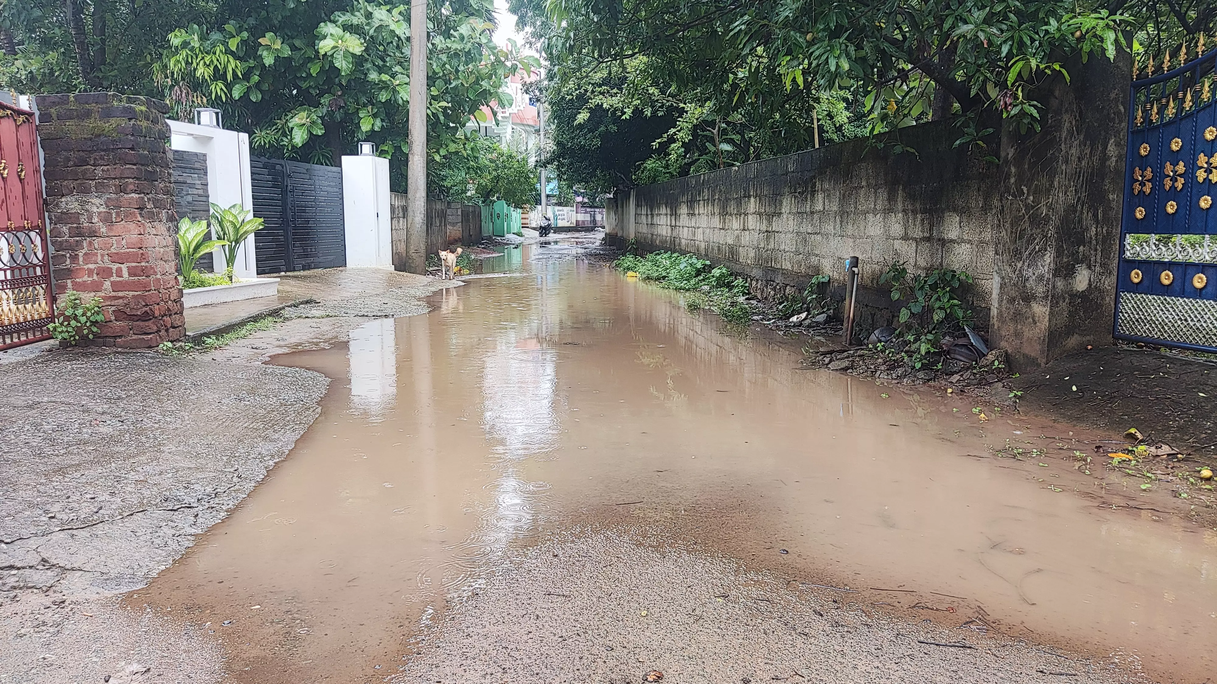 வாகன ஓட்டிகள் அவதி