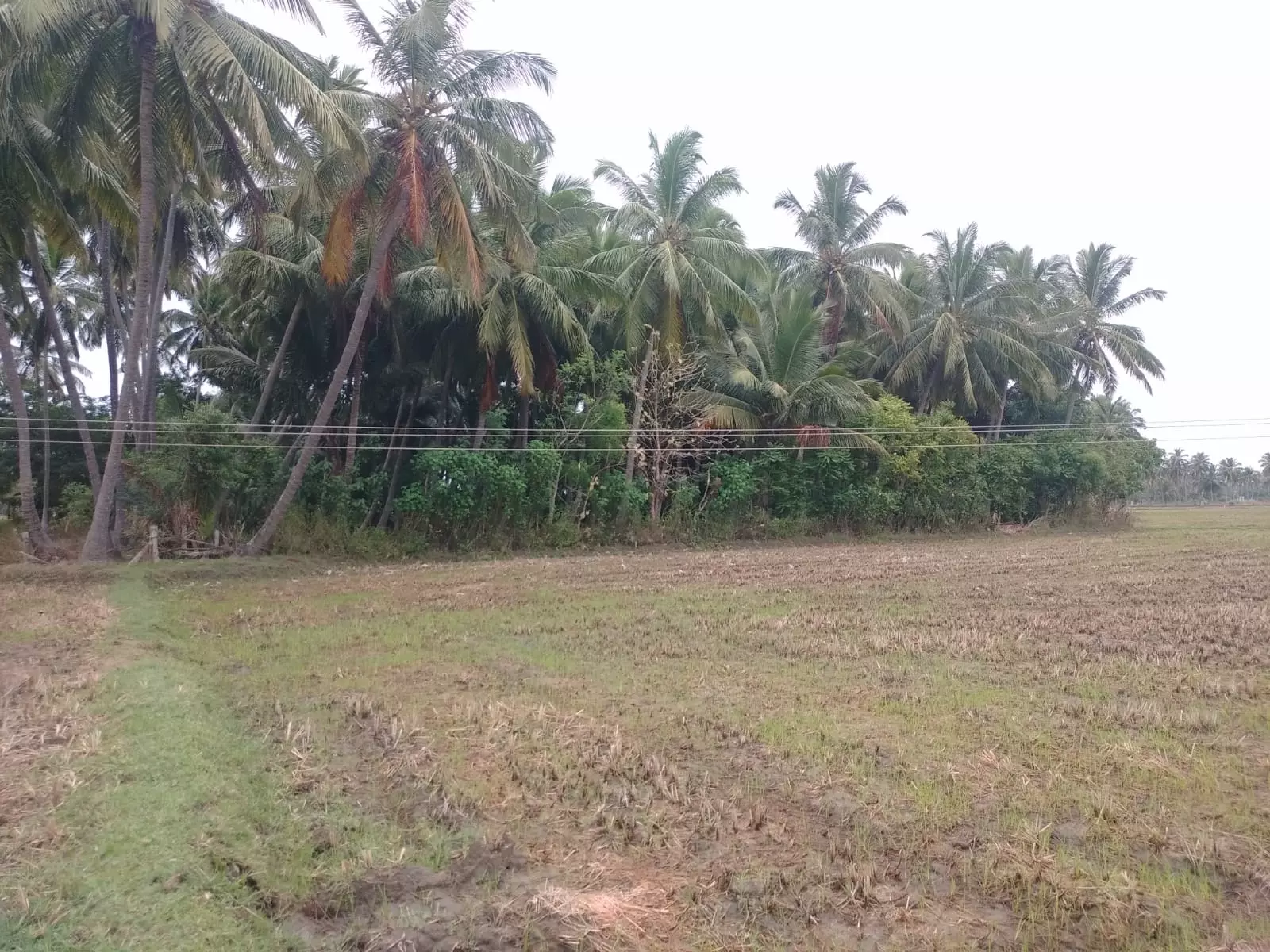 விபத்து அபாயம் விபத்து அபாயம்