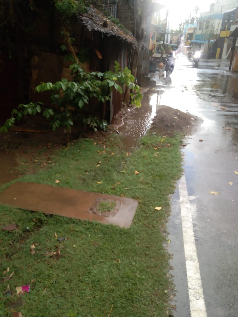 வடிகாலை மூடிய புற்கள்