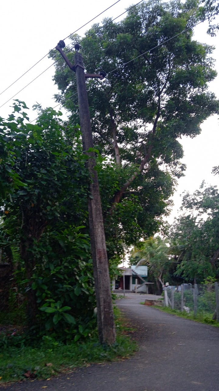 சாய்ந்த நிலையில் மின்கம்பம்