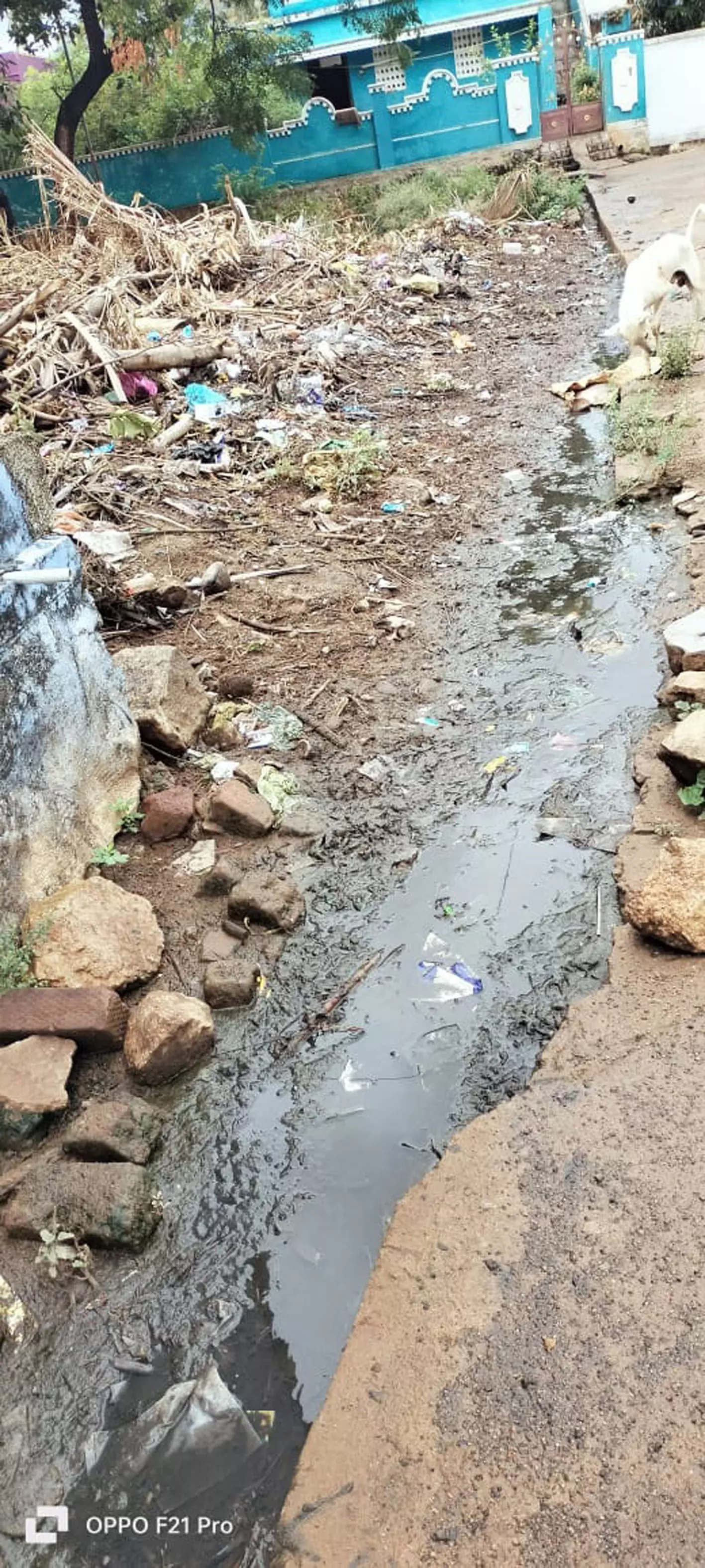 சுகாதாரக்கேடு சுகாதாரக்கேடு