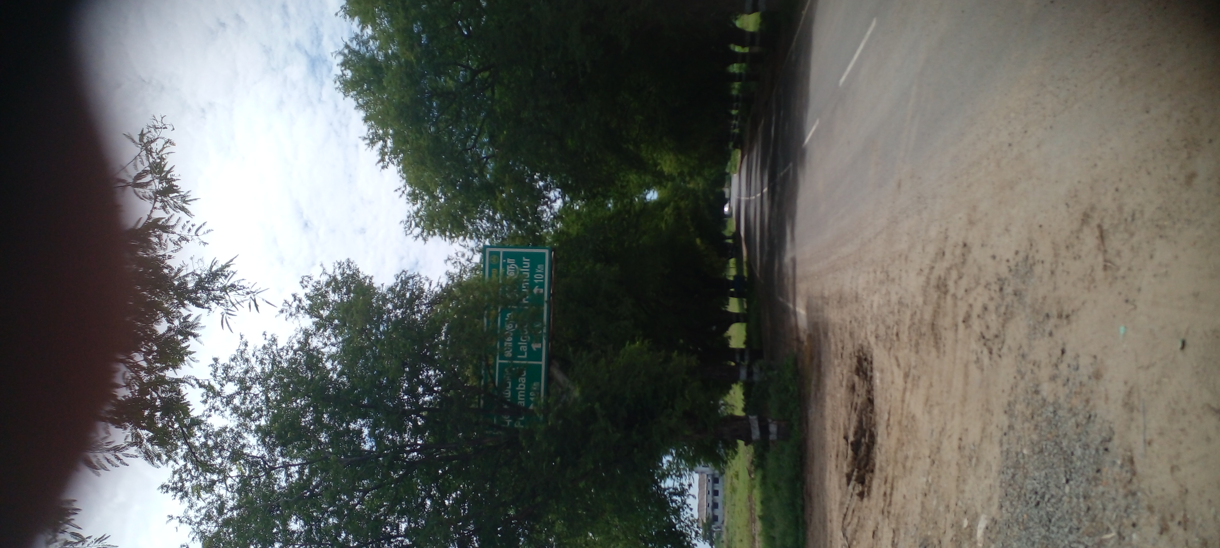 பெயர் பலகையை மறைக்கும் மரக்கிளைகள்