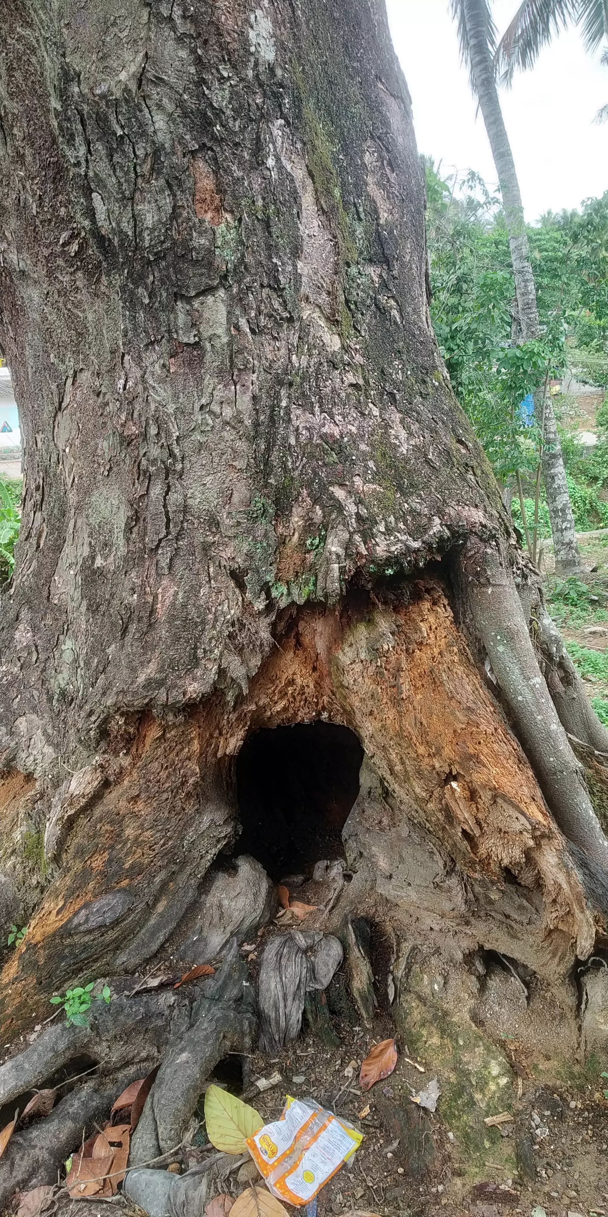 காத்திருக்கும் ஆபத்து