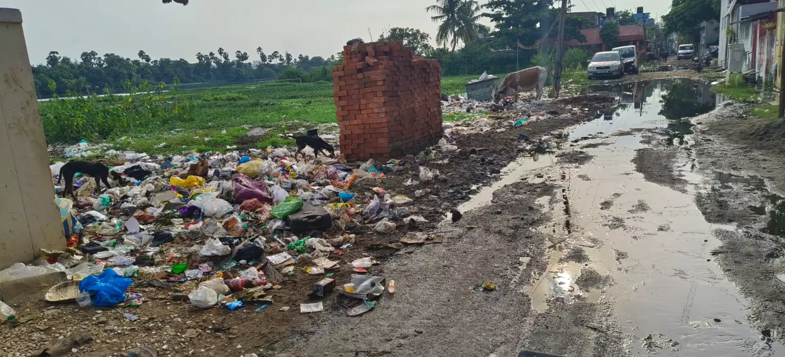 குப்பை மற்றும் கழிவுநீரால் ஆபத்து