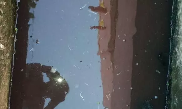 சுகாதார சீ்ர்கேடு