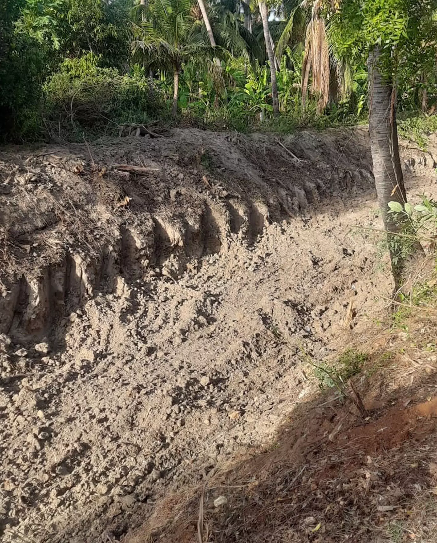 புகாருக்கு உடனடி தீர்வு