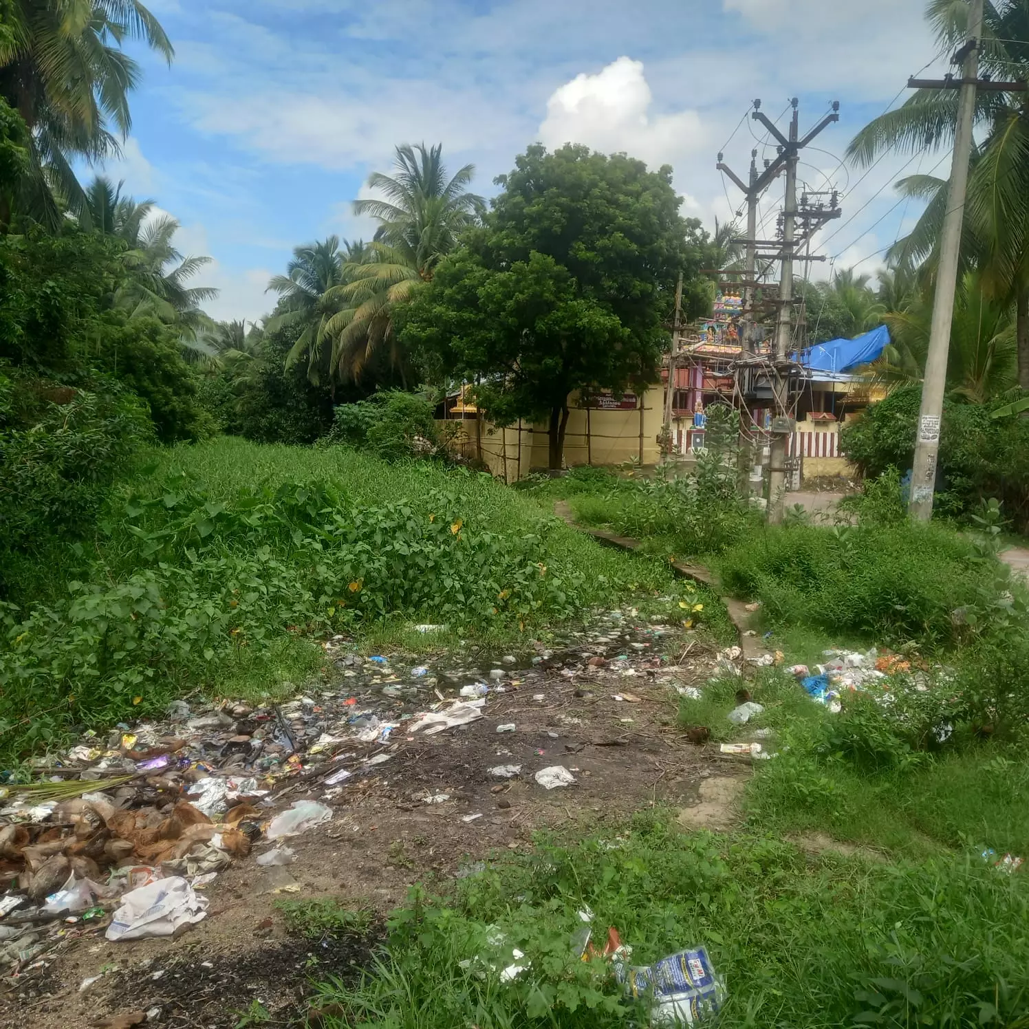 சுகாதார சீர்கேடு