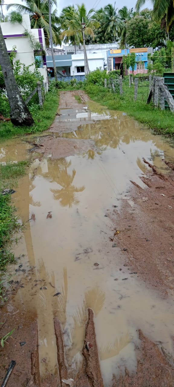 நடவடிக்கை தேவை