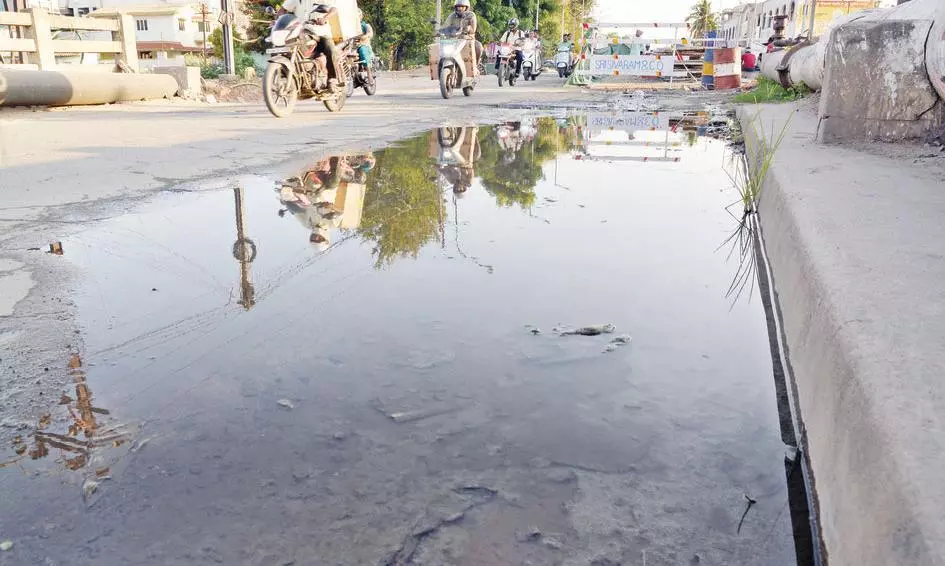 பாலத்தில் தேங்கி நிற்கும் குடிநீர் பாலத்தில் தேங்கி நிற்கும் குடிநீர்