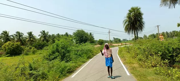 தாழ்வாக செல்லும் மின்கம்பிகள் தாழ்வாக செல்லும் மின்கம்பிகள்