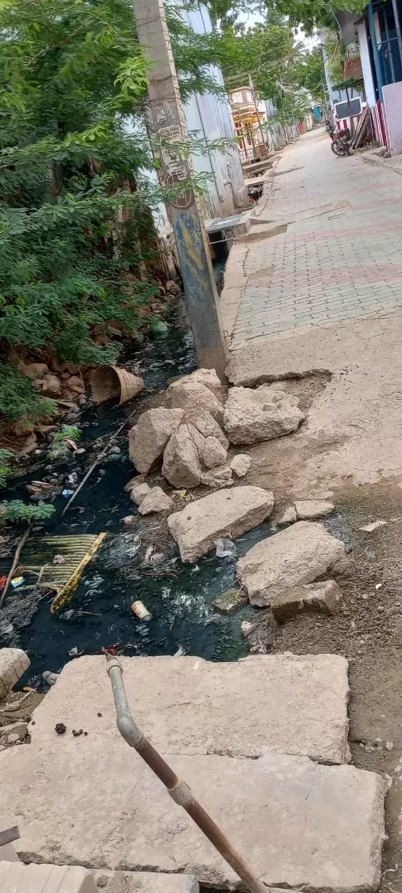 வாறுகால் தூர்வாரப்படுமா? வாறுகால் தூர்வாரப்படுமா?