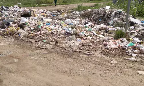 குப்பைகள் அகற்றப்படுமா?