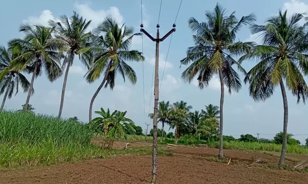 மின்கம்பம் சேதம்