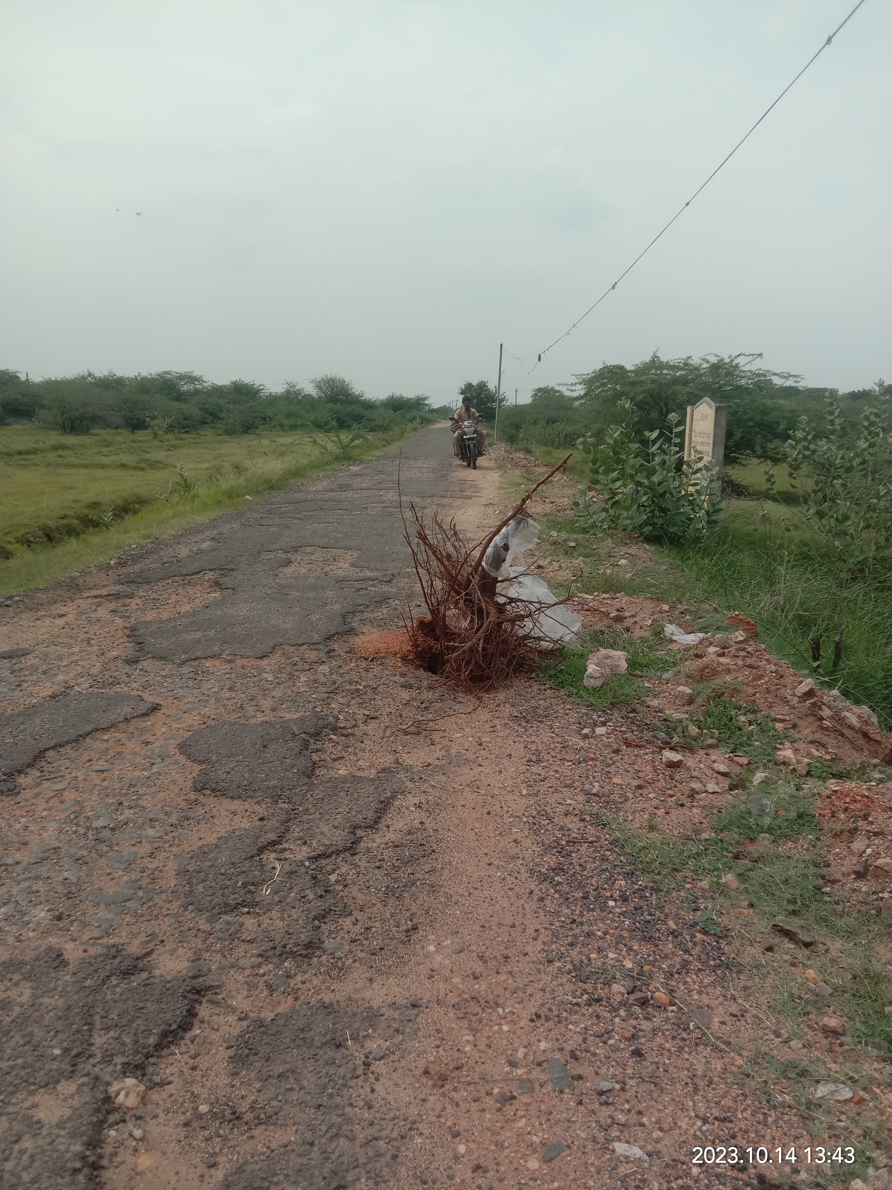 குண்டும், குழியுமான சாலை குண்டும், குழியுமான சாலை