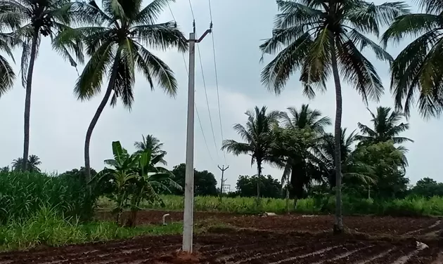 தினத்தந்திக்கு பாராட்டு