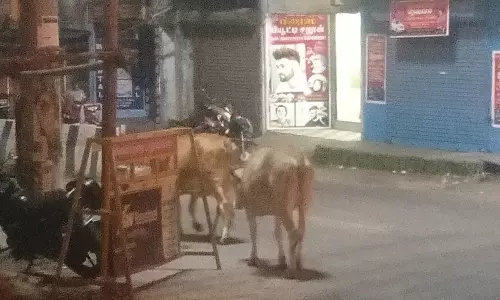 போக்குவரத்து இடையூறு