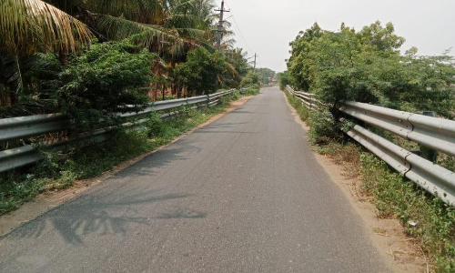 சாலையோர முட்களால் வாகன ஓட்டிகள் அவதி