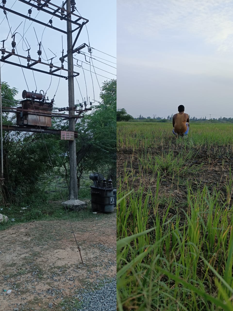 பழுதடைந்த மின்மாற்றியால் விவசாய பணிகள் பாதிப்பு