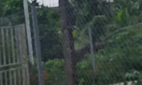 பழுதடைந்த மின்கம்பம் பழுதடைந்த மின்கம்பம்