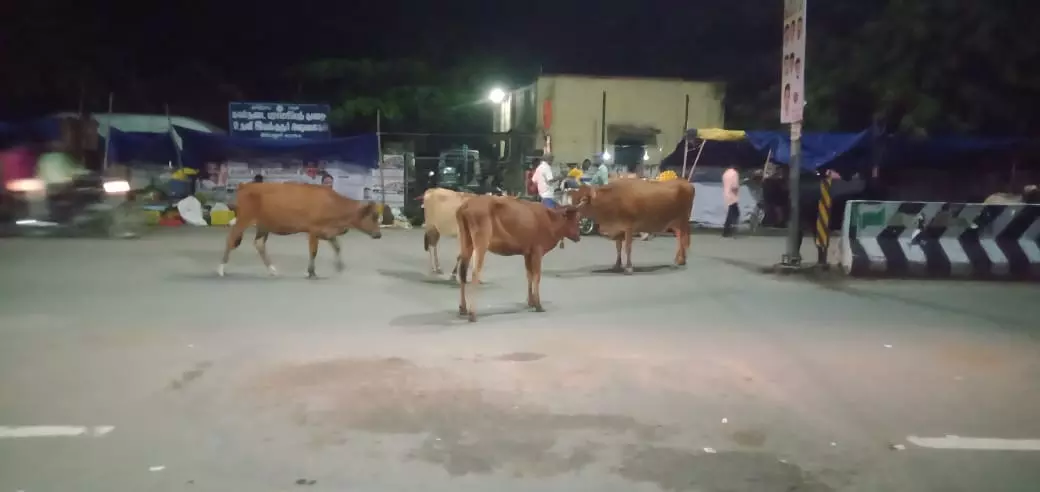 போக்குவரத்திற்கு இடையூறு போக்குவரத்திற்கு இடையூறு