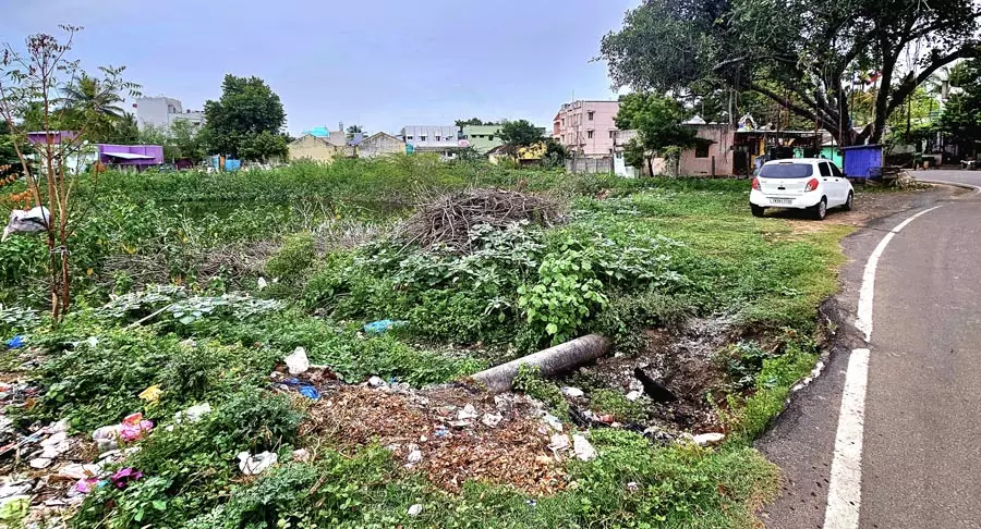 தூர்வாரப்படாத குட்டை தூர்வாரப்படாத குட்டை