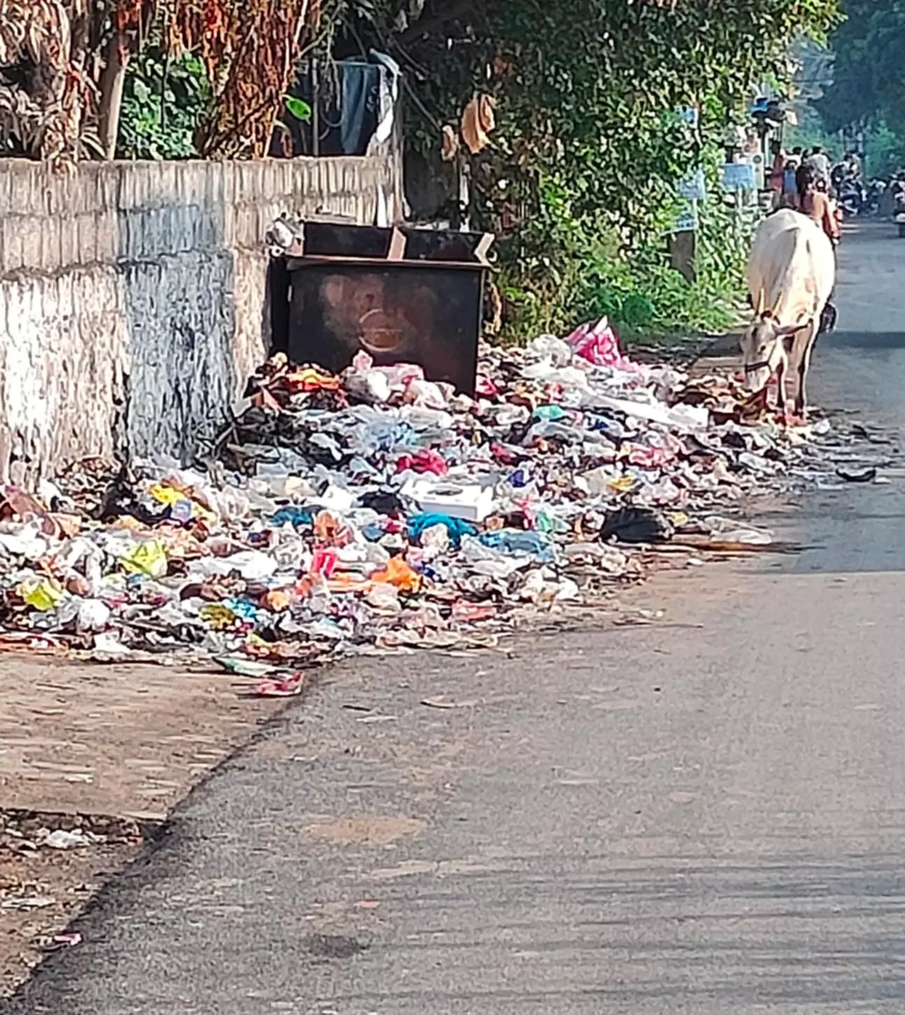 குப்பை அகற்றப்படுமா?