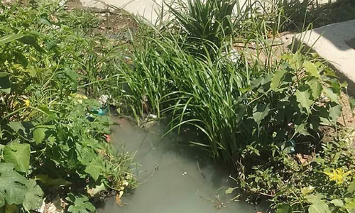 கழிவுநீர் கால்வாயை தூர்வார வேண்டும் கழிவுநீர் கால்வாயை தூர்வார வேண்டும்