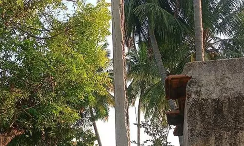 மின்கம்பம் சேதம்