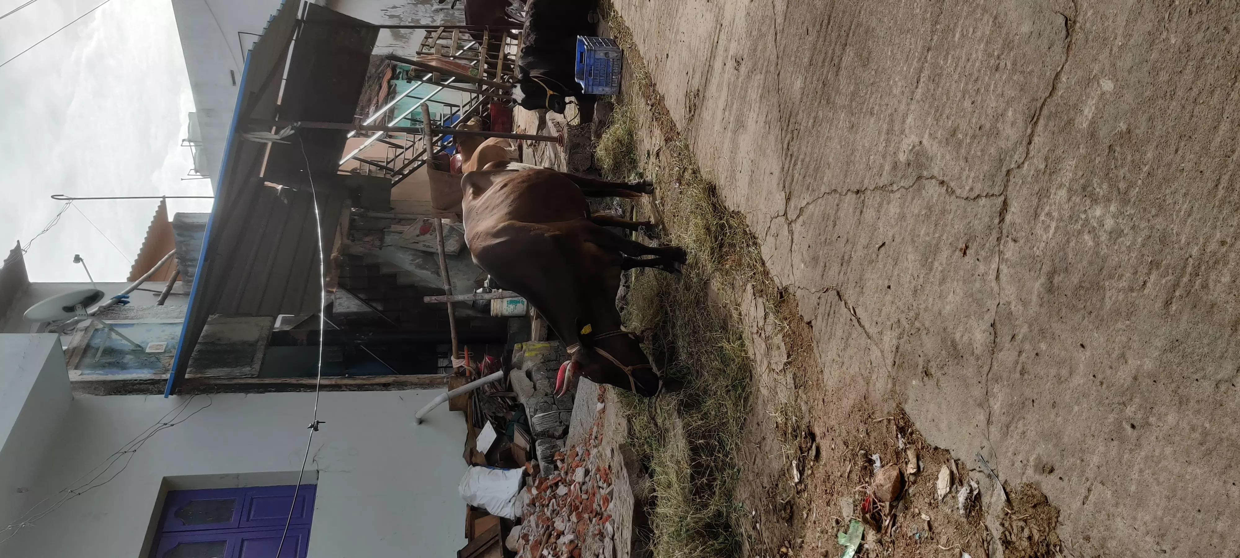 கழிவுநீர் கால்வாயை தூர்வார வேண்டும் கழிவுநீர் கால்வாயை தூர்வார வேண்டும்