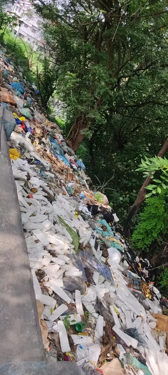 குப்பைகள் அகற்றப்படுமா? குப்பைகள் அகற்றப்படுமா?