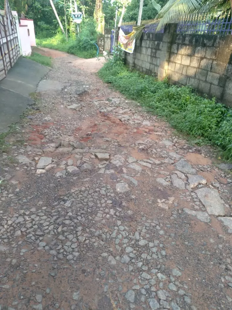 சேதமடைந்த சாலை