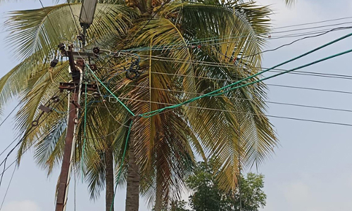 தாழ்வான மின்கம்பிகளால் ஆபத்து தாழ்வான மின்கம்பிகளால் ஆபத்து