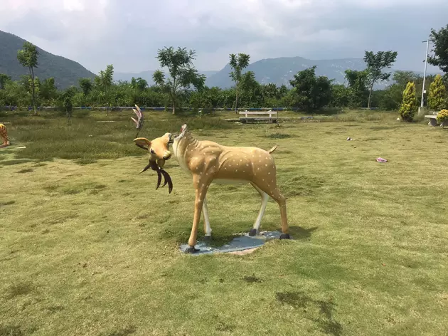 பூங்காவை பராமரிப்பார்களா? பூங்காவை பராமரிப்பார்களா?
