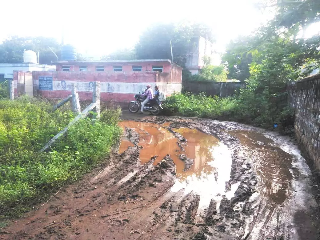 சாலை அமைக்க கோரிக்கை சாலை அமைக்க கோரிக்கை