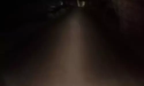 மின்விளக்குகள் தேவை