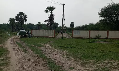 பாதையின் நடுவே உள்ள மின்கம்பம் பாதையின் நடுவே உள்ள மின்கம்பம்