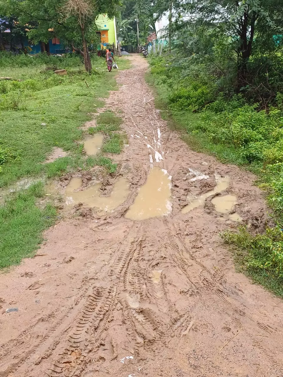 சேறும், சகதியுமான சாலை சேறும், சகதியுமான சாலை