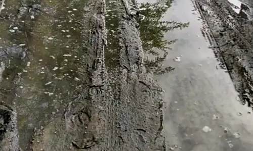 கழிவுநீர் தேக்கம்