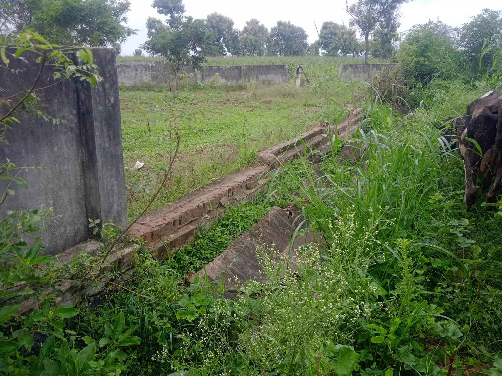 சுற்றுச்சுவர் இல்லாத மாணவியர் விடுதி