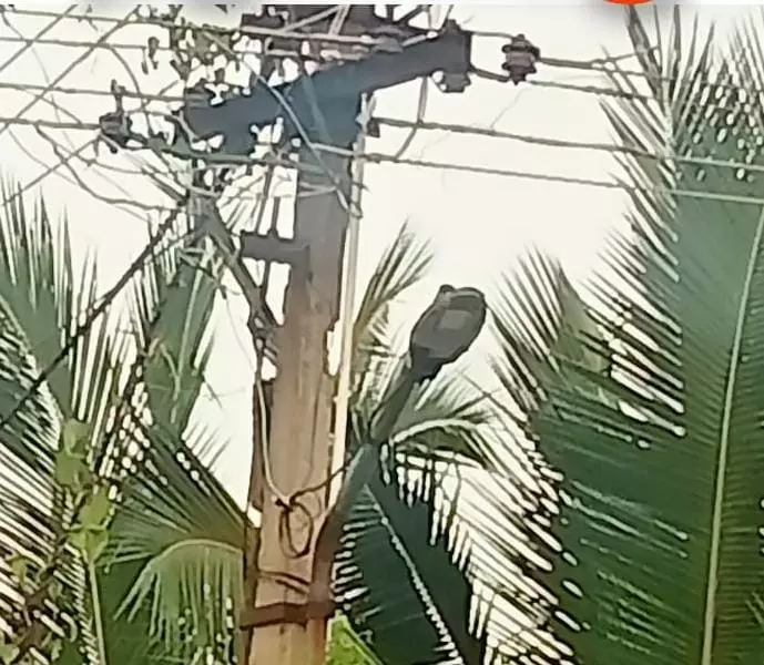 எரியாத மின் விளக்குகள் எரியாத மின் விளக்குகள்