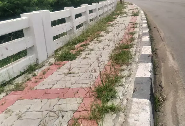 மேம்பாலத்தை சுத்தம் செய்வார்களா? மேம்பாலத்தை சுத்தம் செய்வார்களா?