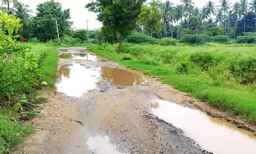 சாலையில் தேங்கும் மழைநீர் சாலையில் தேங்கும் மழைநீர்