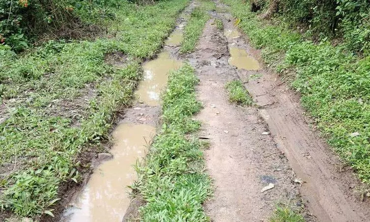 தார்சாலை அமைக்க வேண்டும் தார்சாலை அமைக்க வேண்டும்