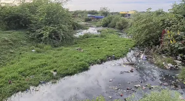 சுகநதியை சுத்தம் செய்ய வேண்டும்