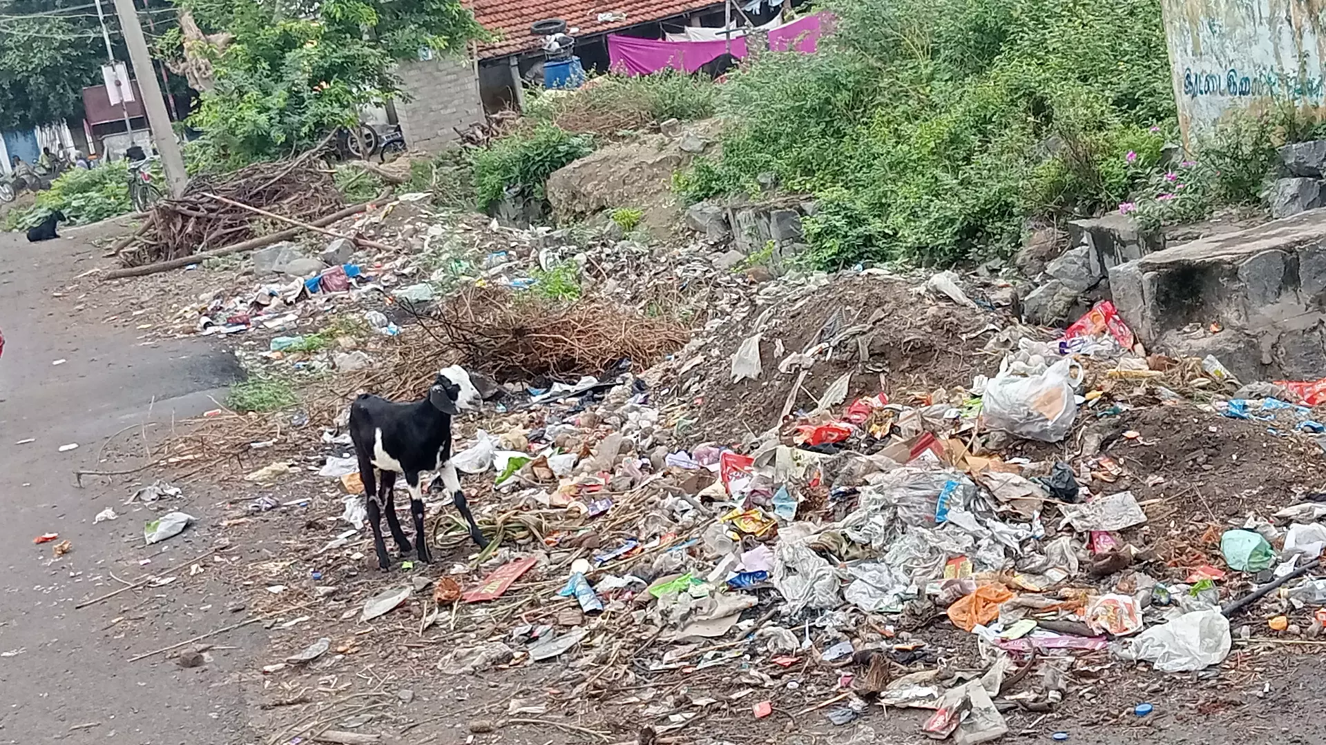 நோய் தொற்று பரவும் அபாயம் நோய் தொற்று பரவும் அபாயம்