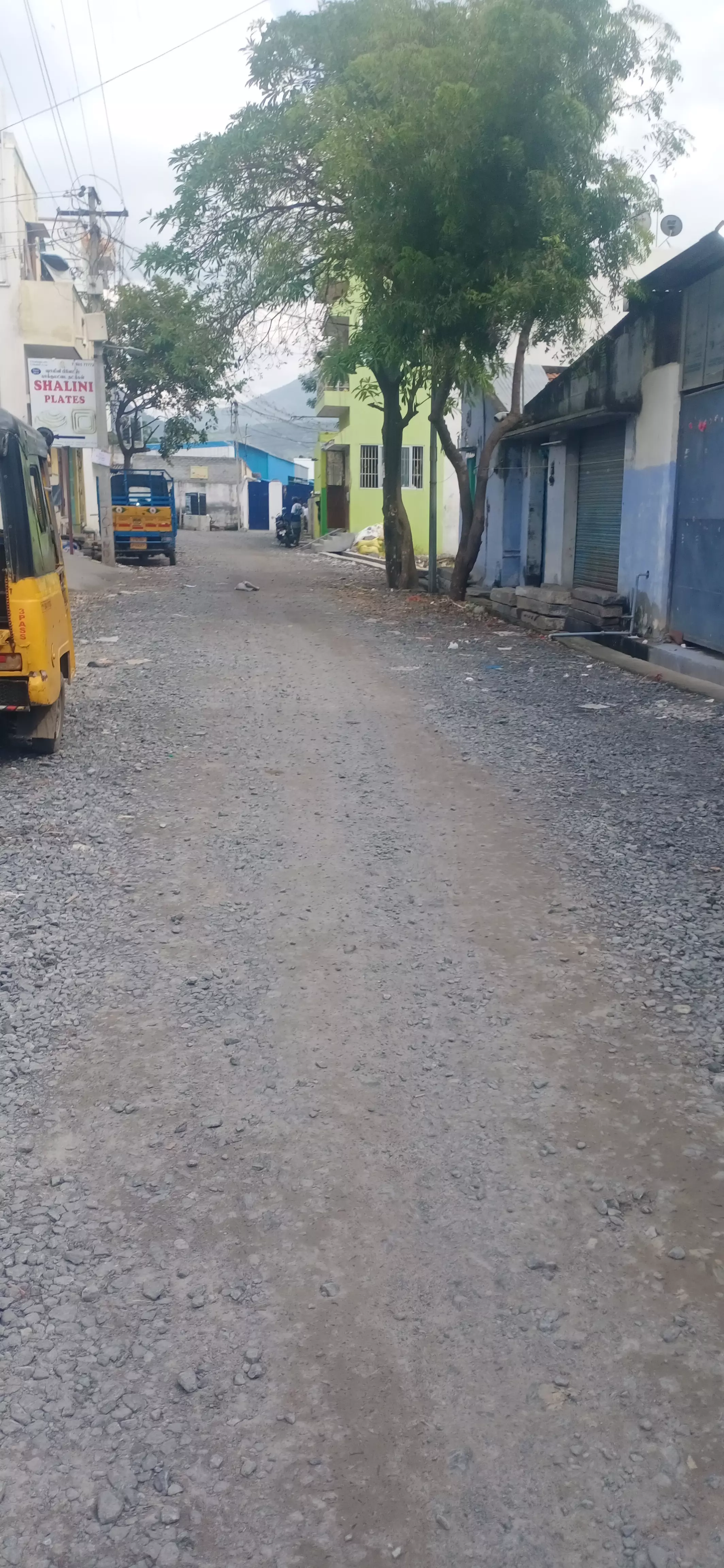 சாலை அமைக்க கோரிக்கை